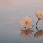 4 ways to bring peace to troubled times