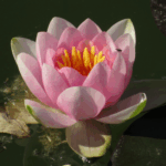 5 easy habits to create positive change