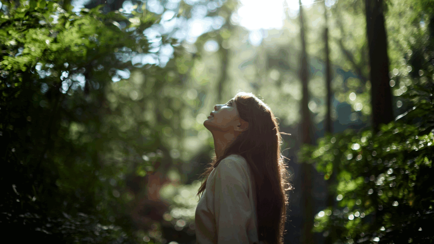 Eastern woman surrounded by trees looking up through to the sky.