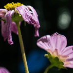 When holding it together starts to break you